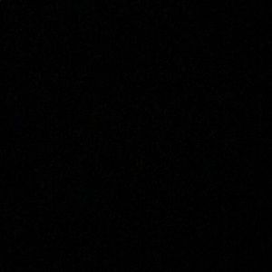 Meet your Posher, Shane